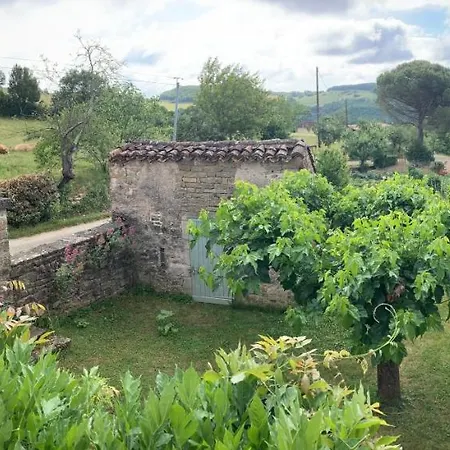 La Ferme Du Paradis * Verfeil-sur-Seye