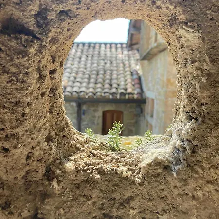 La Ferme Du Paradis Verfeil-sur-Seye
