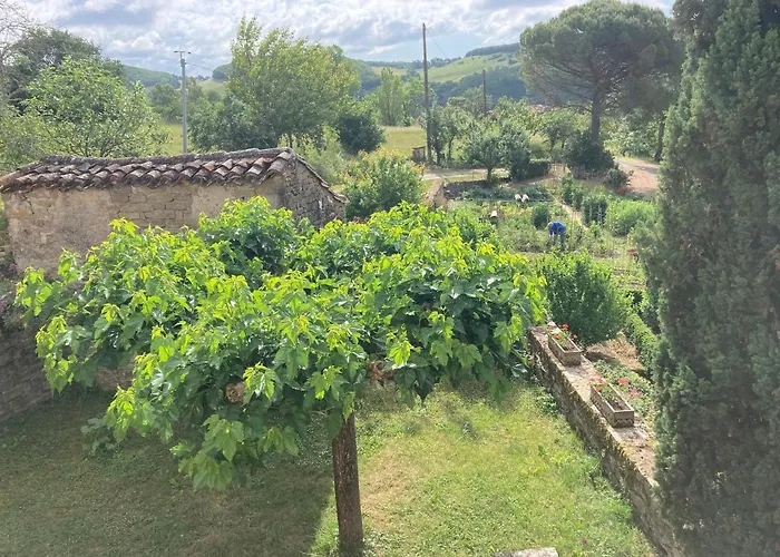 La Ferme Du Paradis * Verfeil-sur-Seye
